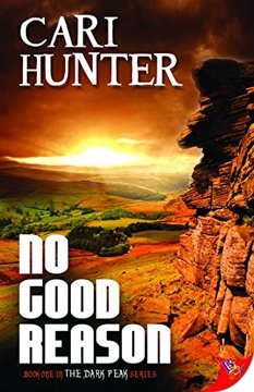 No Good Reason by Cari Hunter book cover